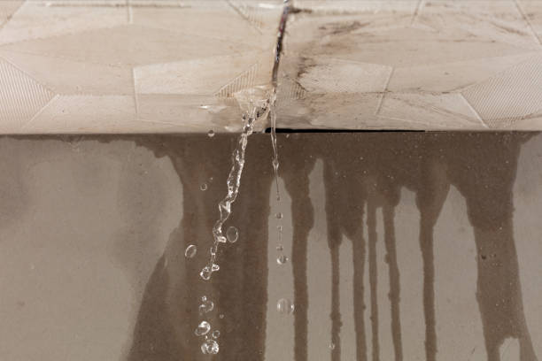 Professional Water Extraction technician working in Oriental, NC